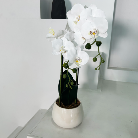 White Faux Potted Orchid
