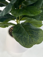 Potted Faux Fiddle Leaf