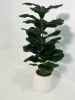 Potted Faux Fiddle Leaf