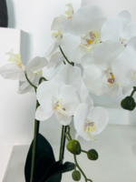 White Faux Potted Orchid