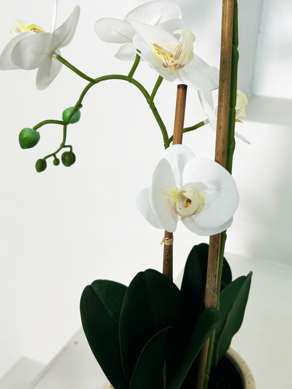 White Faux Potted Orchid